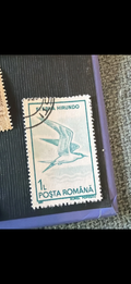 Sterna Hirundo Birds of Romania Stamp 1961