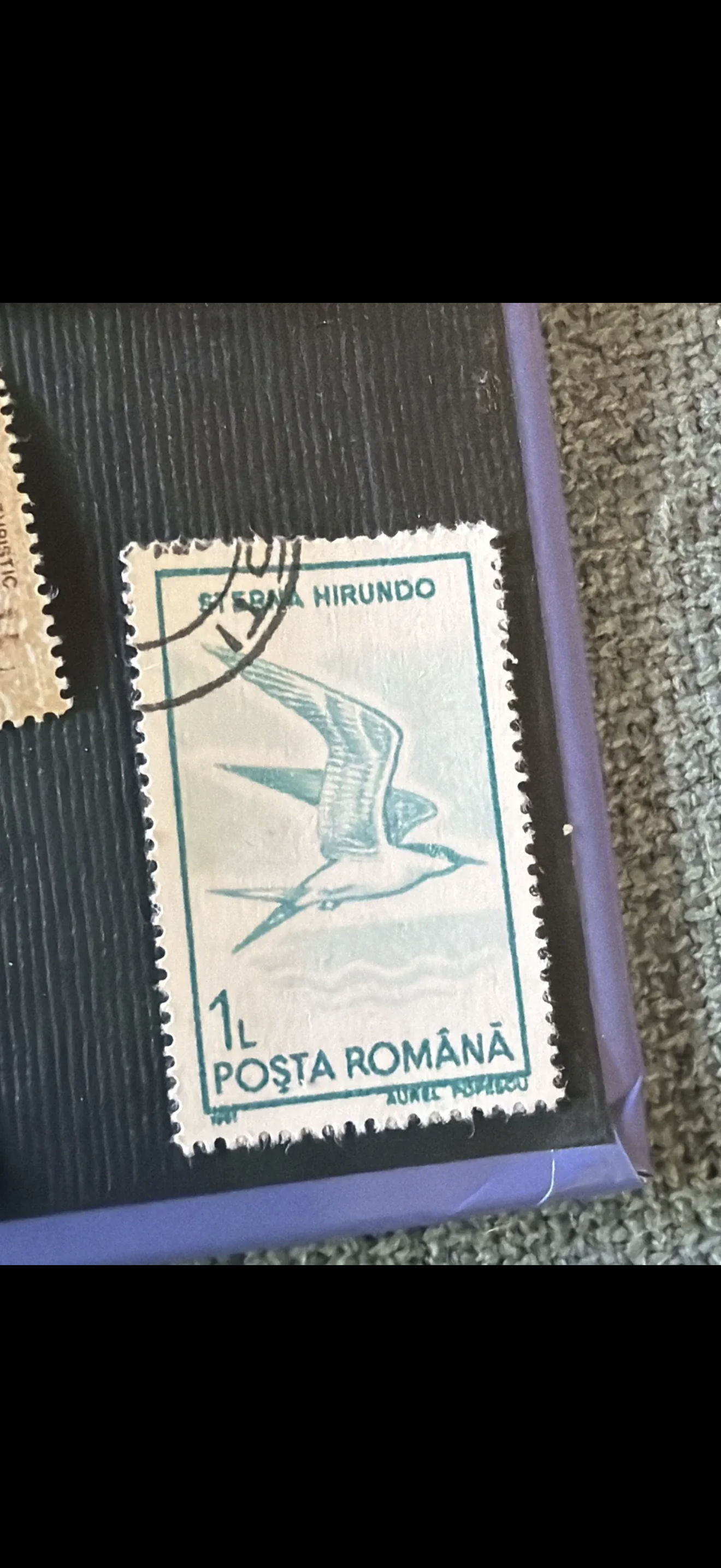 Sterna Hirundo Birds of Romania Stamp 1961
