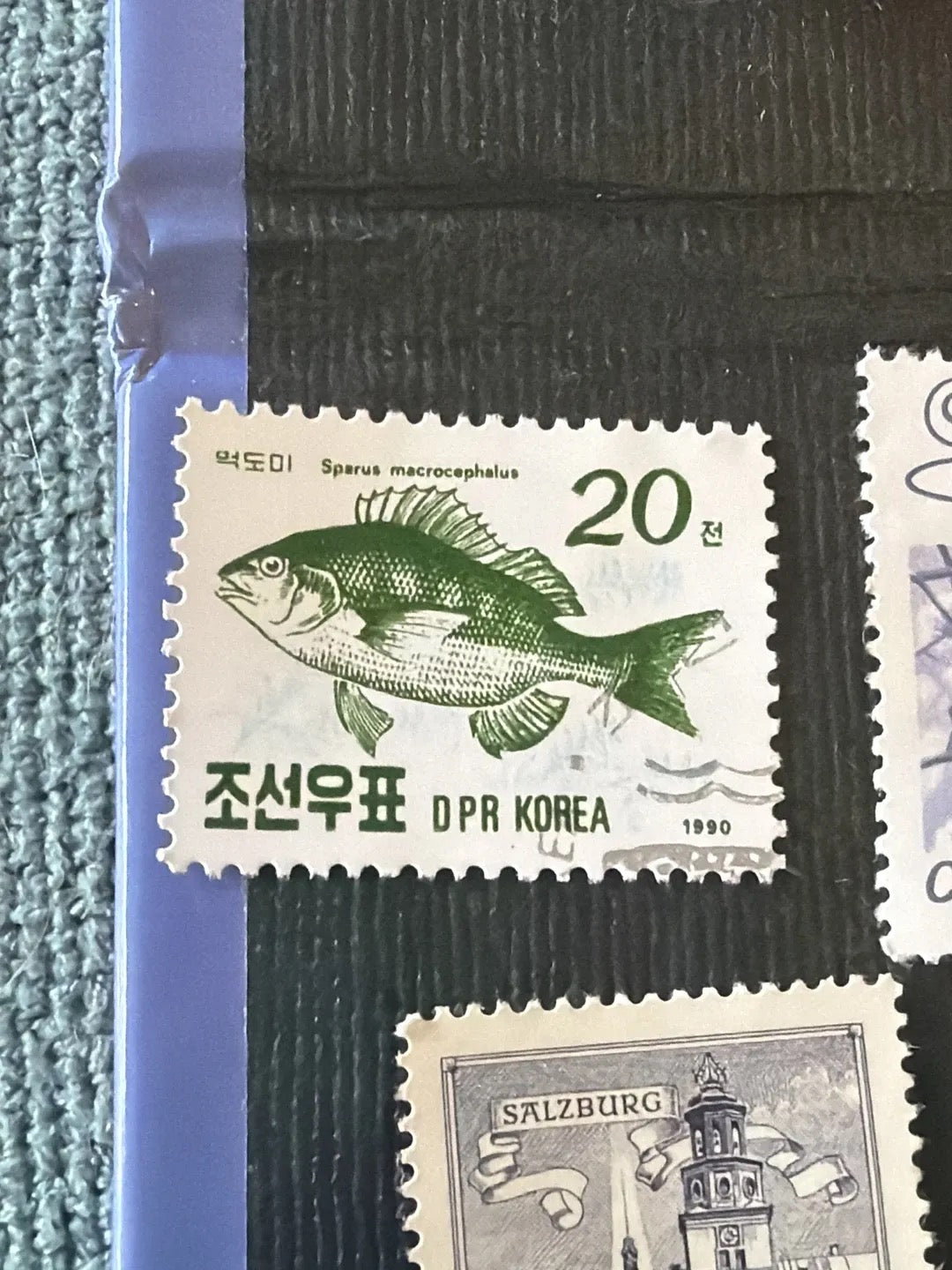 Blackhead Seabream Fish Series North Korea Stamp 1990