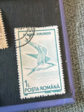 Sterna Hirundo Stamp — Birds of Romania Series (1961)
